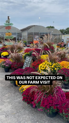 The Places We Will Remember -Toronto & Travels Nicole on Instagram: "WHAT YOU CAN’T MISS ⬇️ Fall is for farm visits. Each year, we, like many, visit farms but I did not expect to be so sentimental or nostalgic watching my kids Maybe it was the plethora of activities, or how family friendly it is. Or maybe it’s because each year fall becomes a milestone in which to measure how my kids have grown Whatever it is make @pinglesfarm a must visit to make memories PINGLES FARM HARVEST FESTIVAL @pinglesf