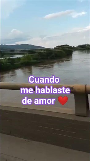 el culpable soy yo #diomedesdiaz #vallenato #musica #colombiano #amor #desamor #tu #parati #desamor