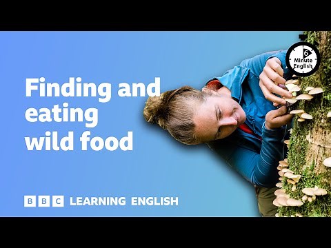 Finding and eating wild food ⏲️ 6 Minute English