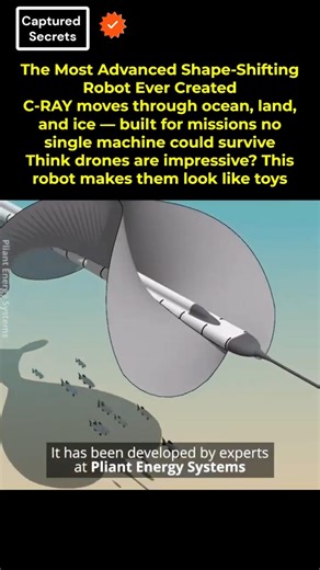 Most Advanced Robot Ever Built? Meet C-RAY — The Shape-Shifting Machine That Defies Nature