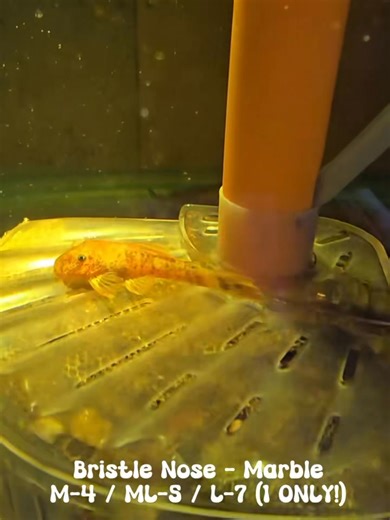 ✨Julian’s hand-selected farm shipment✨ just arrived! Many thanks to...