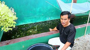 112K views · 5.6K reactions | Let's talk about livebearer fishes & snails. | Dexter's World | Facebook