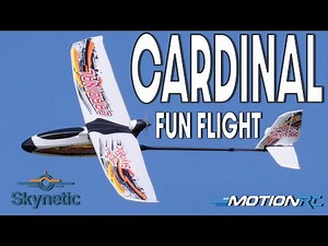 Skynetic Cardinal 1400mm Fun Flight | Motion RC