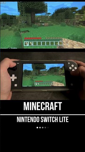 Minecraft Nintendo Switch Lite Gameplay - FPS Monitor