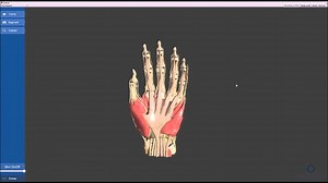 Object rotation help