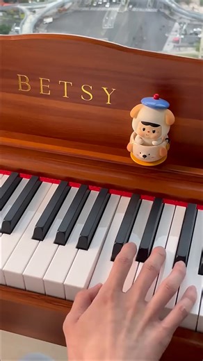 贝琪（Betsy）B351电钢琴88键重锤成人儿童电子钢琴家用练习初学者专业考级钢琴 B353-重锤88键木纹棕+圆腿琴架