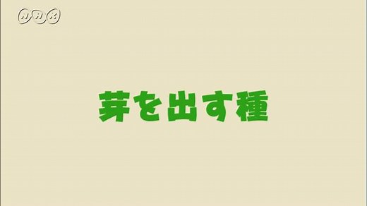 芽を出す種 | 理科５年　ふしぎワールド | NHK for School