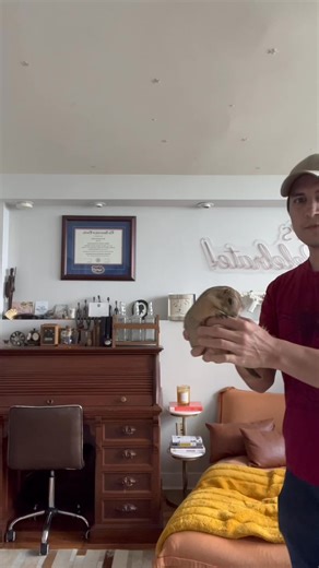 193K views · 2.2K reactions | Very excited prairie dog #prairiedog #funnyanimal . . . #prairiedog #animal #cute | The Prairie Dog | Facebook