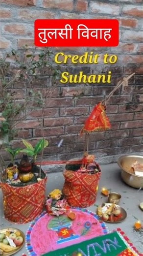 तुलसी विवाह Tulsi vivah Shree Narayan #tulsi #tulsivivah main tulsi tere aangan ki