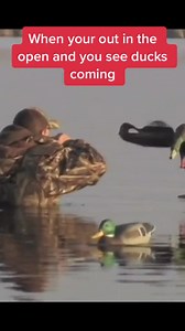 9.4M views · 7.3K reactions | Act natural : Trace Keller on TikTok | Duck Hunting Fanatics | Facebook
