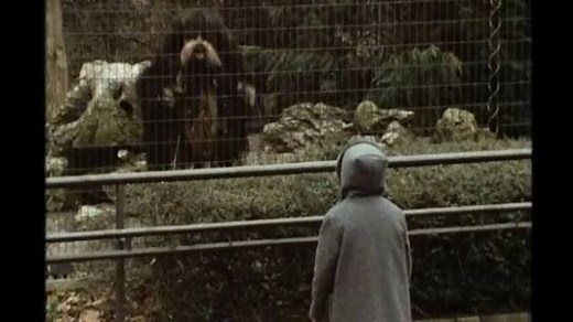 #OnThisDay 1984: That's Life visited London Zoo to catch a glimpse of their new attraction, a rare Lirpa Loof. | BBC Archive