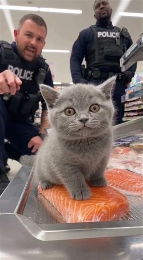 I don't want to listen to the police behind me