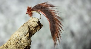 How To Tie: Mayers Mini Leech - AvidMax Blog