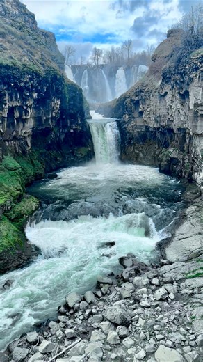 One of the most underrated waterfalls in Oregon. 📍 White River Falls State Park #ExploreOregon #Oregon #PNW #PacificNorthwest #Waterfalls #Beautiful #Hiking #HikingSpots #ExplorePacificNorthwest #PNWHikes #GirlsWhoHike #ExplorePage #TravelPage #TravelReels #HikingPage #BucketList #WanderLust | Maria Yevgeniyevna Zolotsev