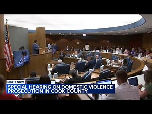 Domestic abuse survivors testify at Cook County hearing