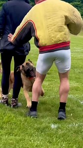 5M views · 15K reactions | Other German shepherd vs Bruno Training #germanshepherd #germanshepherdsofinstagram #germanshepherdpuppy #gsdofinstagram #gsdpuppy #gsd #gsd #dogtraining #dogtrainer #dog #love #reels #viral #doglover #trendingreel | K9 Yadav Dog Training Centre Agra | Facebook