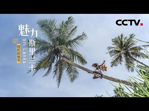 《魅力斯里兰卡》第二集 国民的微笑 | CCTV纪录