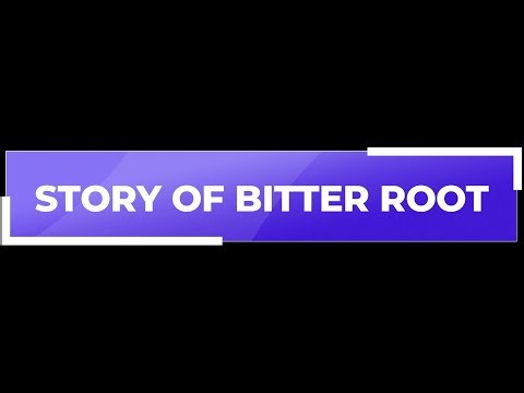 Bitter roots make us lose God's grace || Rev. Vincelal Joe Lazer