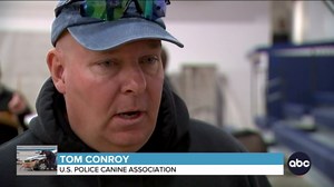 K-9 competition for top dog