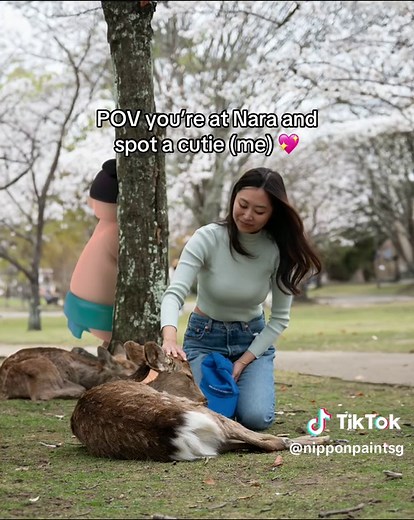 Oops you caught me on holiday….. will paint your house once I’m back 🥰 #nipponpaintsg #coloursofjapan #japan