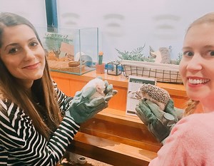 Tokyo for First-Timers