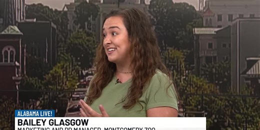 The Montgomery Zoo prepare for a magical creatures education program