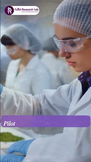 New Food Product Development Explained