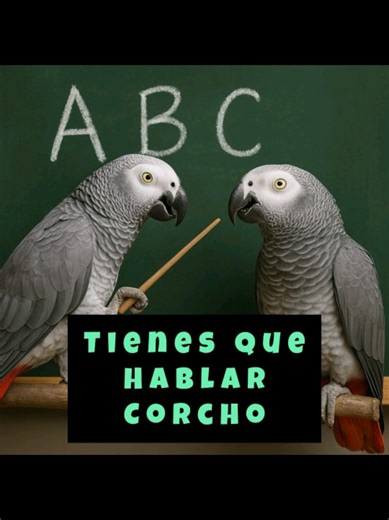 Lora enseña a Corcho a hablar: paciencia de un loro