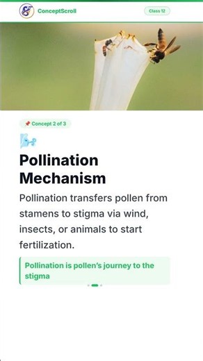 Sexual Reproduction in Flowering Plants, Class 12 Biology | Chapter 2 | Class 12 Biology | NCERT | C