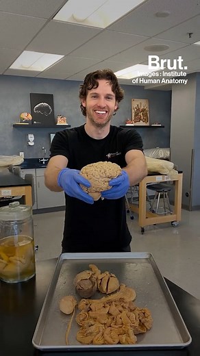 Pour lui, c'est la beauté intérieure qui compte. Jonathan dissèque des corps humains donnés à la science pour mieux comprendre de quoi nous sommes faits. Et son quotidien, c'est ça… | Brut