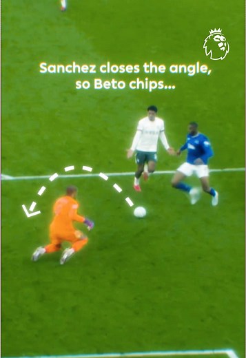 Everton's Fine Details & Premier League Prospects