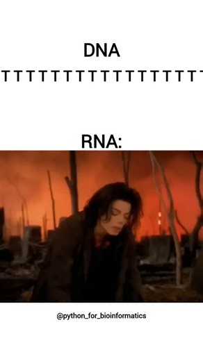 Ashish Singh on Instagram: "During transcription, the process of converting DNA into RNA involves a change in the base pairing rules. DNA and RNA both use four types of nucleotide bases, but RNA differs slightly because it contains uracil (U) instead of thymine (T). When RNA polymerase reads the DNA template strand, it forms a complementary RNA strand based on specific pairing rules: adenine (A) in DNA pairs with uracil (U) in RNA, thymine (T) pairs with adenine (A), cytosine (C) pairs with guan