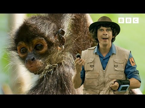 Andy and the Manakin | Safari Adventures | Andy's Amazing Adventures