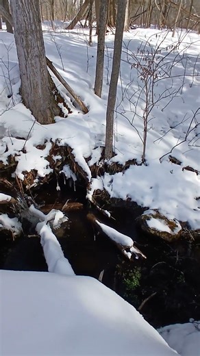 A snowy hillside spring flowing into the main river.