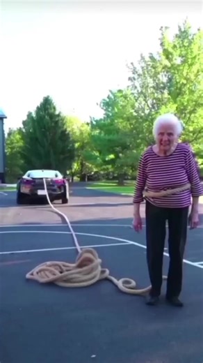 Think you can beat the average? 🧠 Try this test to measure up and prove it! | Trusted IQ Test