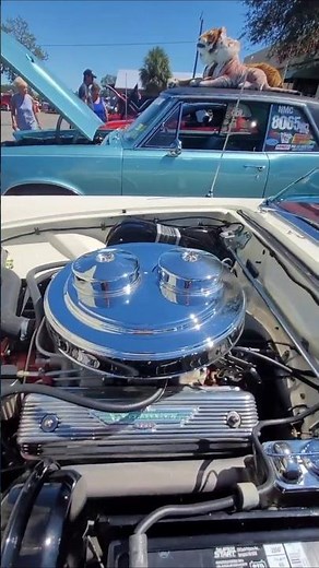 1957 THUNDERBIRD "E CODE"