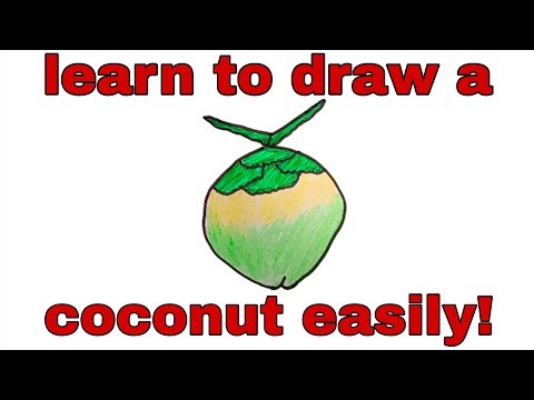 How to Draw a Coconut Easy Step by Step for Beginners | Simple Coconut Drawing Tutorial