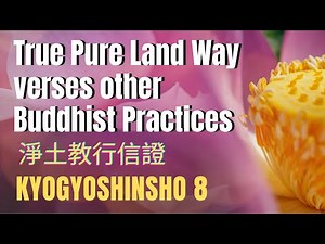 Ch. 38- 8 | Why follow the True Pure Land Way and not other Buddhist practices? | 顯淨土真實行 Excerpt 8