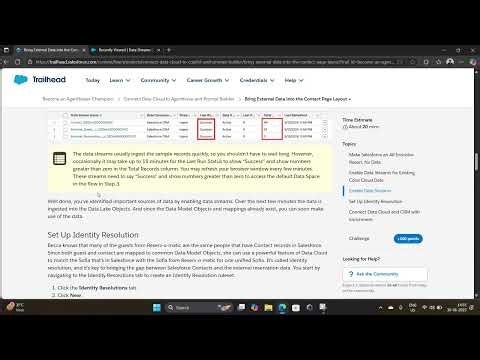 How to solve EXTERNAL RESERVATION in trailhead Agentblazer champion