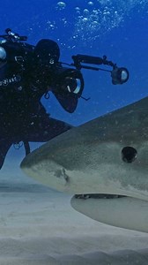 6.8K views · 450 reactions |  // Congratulations to Sony on the...