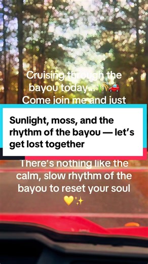 Cruising through the bayou today… 🌾🚗 There’s something magical about driving slowly along these winding waterways, surrounded by moss-draped trees and the gentle sway of the cypress. 😌 Come join me and just relax outdoors — no rush, no distractions, just the simple joy of being in nature. Listen to the birds 🦅 singing above, watch the sunlight dance on the water, and let the calm rhythm of the bayou sink into your soul. 💛 Take a deep breath, let go of the noise, and just be present. This is