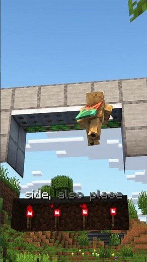 Working Garage Door in Minecraft