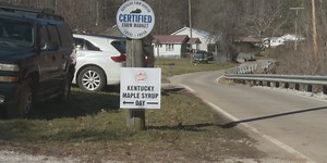 “Bit by the maple bug”: Southdown Farm hosts fifth annual Kentucky Maple Syrup Day