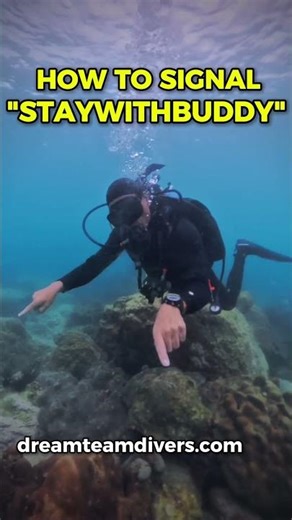 Scuba Diving Hand Signal: STAY WITH BUDDY 🤝 | The Buddy System #shorts