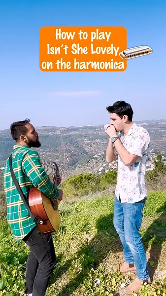 Stevie Wonder's Iconic Harmonica Melodies