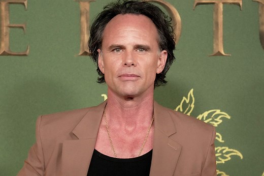 Walton Goggins' TV and Movie Roles, from Boyd Crowder to Baby Billy