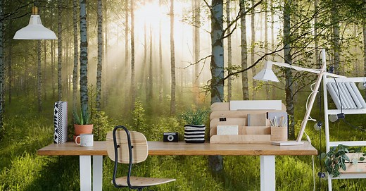 Peel and Stick Wallpaper | Wallsauce NZ