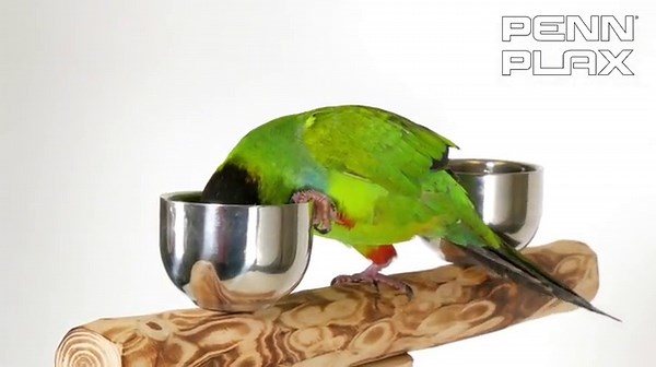 LEGO Creator 3 in 1 Flatbed Truck with Helicopter Toy, Transforms from Flatbed Truck Toy to Propeller Plane to Hot Rod and SUV Cars, Gift Idea for Boys and Girls Ages 7 Years Old and Up, 31146