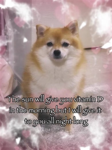 I will give it to u 😘 #rizz #dogtok #relatable #fyp | dog