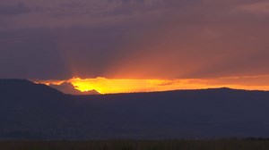 Dig in at Cowboy Dinner Tree